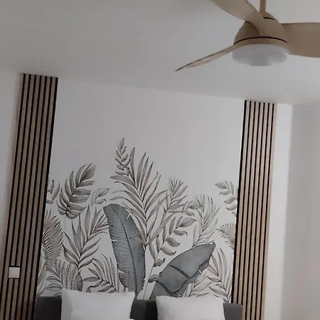 Appartement Petit Havre De Paix Castelnau-le-Lez